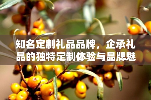 知名定制礼品品牌，企承礼品的独特定制体验与品牌魅力