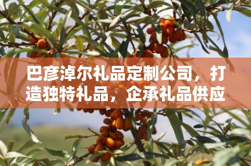 巴彦淖尔礼品定制公司，打造独特礼品，企承礼品供应链卓越服务